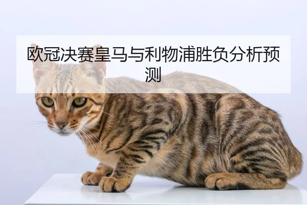欧冠决赛皇马与利物浦胜负分析预测