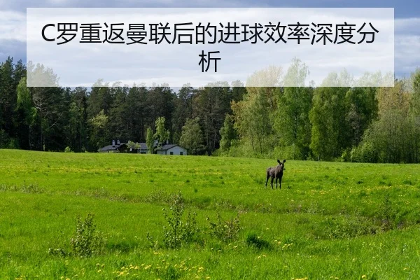 luo-chong-fan-man-lian-hou-de-jin-qiu-xiao-lv-shen-du-fen-xi-2-301.jpg